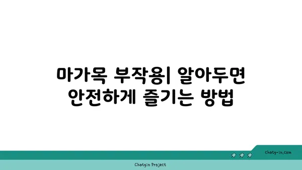 마가목 효능과 부작용 완벽 정리 | 건강, 약효, 주의사항, 차, 술, 효소