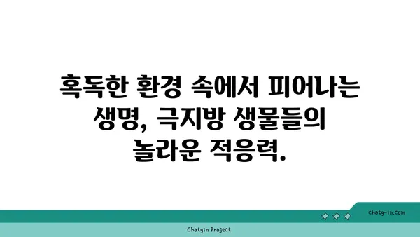 지구의 극지방| 얼어붙은 경이의 세계 | 탐험, 생명, 기후 변화, 위협