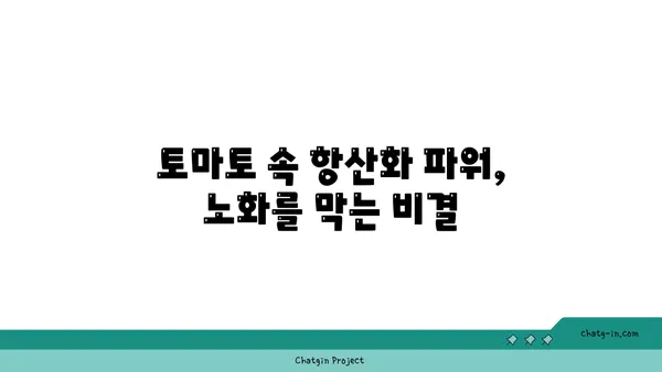 토마토의 놀라운 약리 효능| 전통 의학에서 현대적 활용까지 | 건강, 항산화, 면역, 암 예방