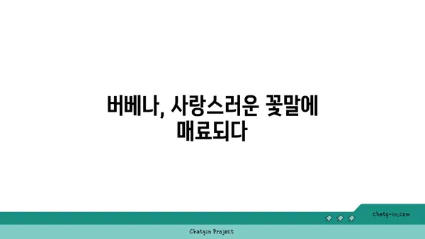 버베나의 매력, 꽃말과 함께 알아보세요! | 버베나, 꽃, 꽃말, 의미, 종류