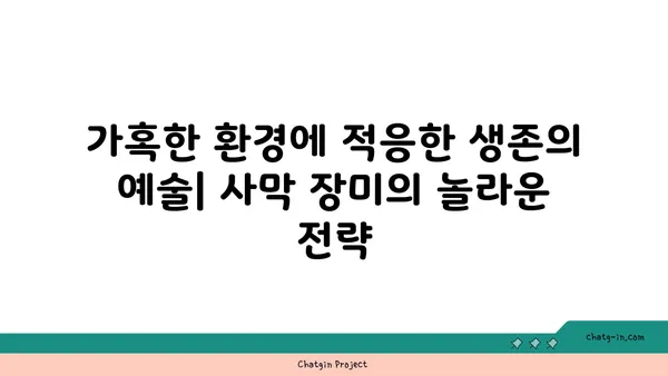 사막의 장미, 그 매혹적인 아름다움과 생존 전략 | 사막 식물, 선인장, 건조 기후, 생존