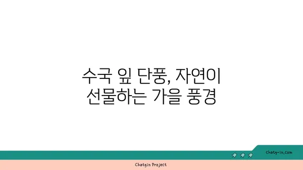 수국 잎의 가을 변신| 아름다운 색깔 변화 감상하기 | 가을, 단풍, 수국 잎, 컬러 변화, 관찰 팁