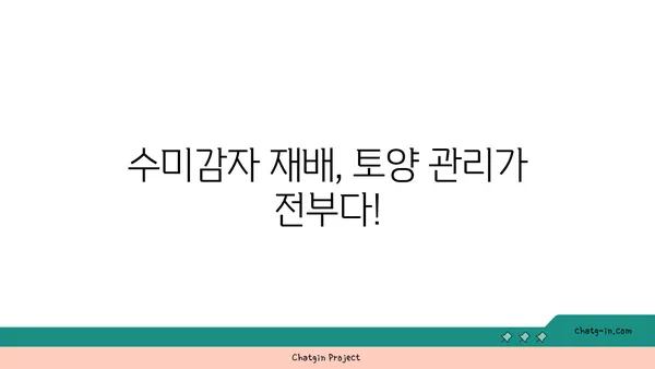 수미감자 최고의 수확을 위한 토양 조건 완벽 가이드 | 수미감자 재배, 토양 관리, 영양 공급