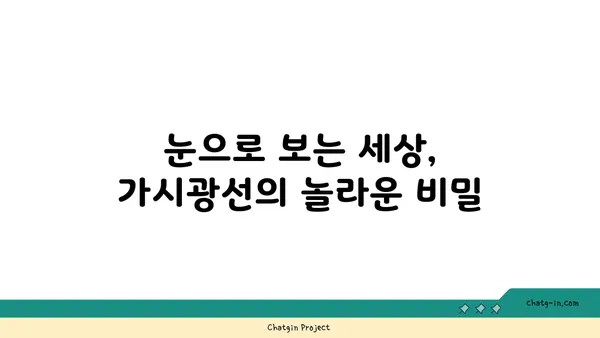 가시광선의 비밀| 우리 눈에 보이는 빛의 모든 것 | 가시광선, 스펙트럼, 색깔, 파장, 빛의 성질