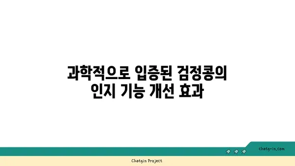 검정콩의 뇌 강화 효과| 과학적으로 입증된 인지 기능 향상 | 검정콩, 뇌 건강, 기억력, 집중력, 인지 능력 향상