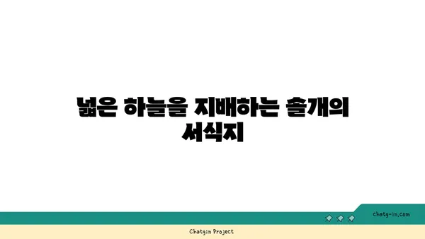 솔개의 비상| 하늘을 훨훨 날아오르는 멋진 새의 생태 | 맹금류, 솔개 특징, 서식지, 먹이, 번식