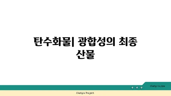 광합성의 비밀| 빛 에너지를 생명 에너지로 바꾸는 놀라운 과정 | 식물, 엽록소, 탄수화물, 산소