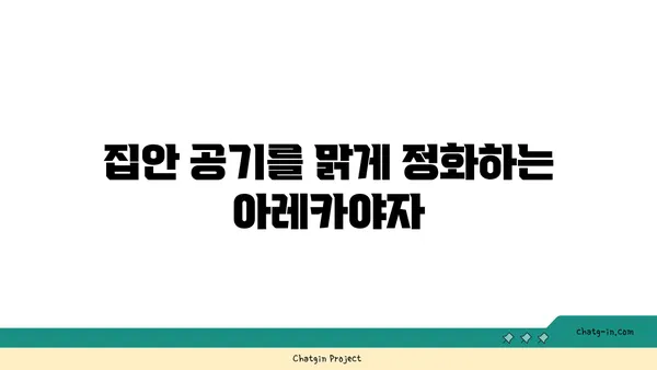 아레카야자 키우기 완벽 가이드 | 실내 인테리어 식물, 공기정화, 관리법, 번식