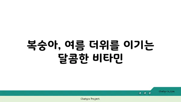 복숭아의 여름 햇살| 자연이 선물하는 달콤한 영양 간식 | 복숭아 효능, 복숭아 레시피, 여름철 건강