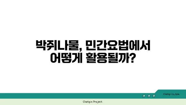 박쥐나물의 효능과 부작용| 섭취 전 꼭 알아야 할 정보 | 약초, 건강, 민간요법