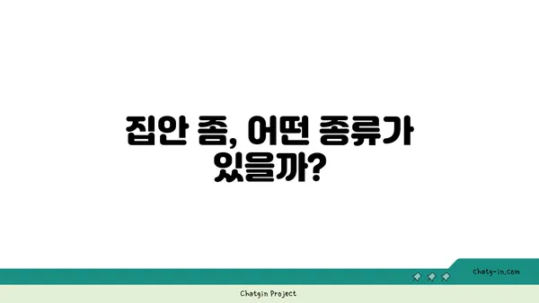 집안 좀, 종류별 특징 파악하기| 적을 알고 나를 지켜라! | 집안 좀 종류, 퇴치 방법, 예방법