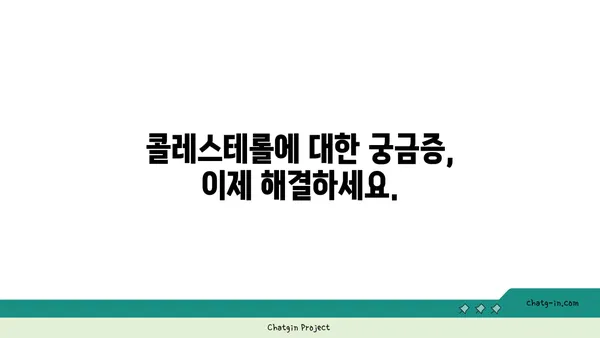 콜레스테롤 신화 폭로| 당신이 몰랐던 진실 | 건강, 영양, 오해 풀기