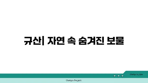 규산의 모든 것| 성질, 용도, 그리고 미래 | 규산, 실리콘, 화학, 산업, 기술