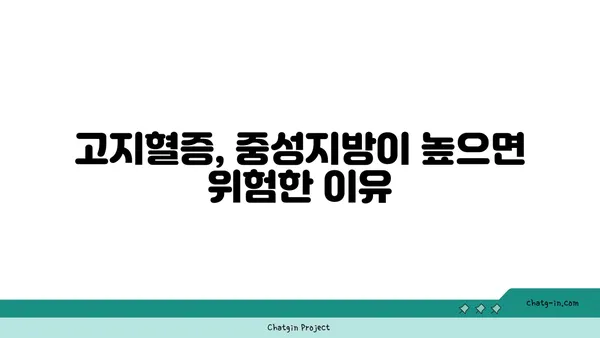 중성지방, 제대로 알고 관리하기| 이해하기 쉽게 설명하는 모든 것 | 건강, 혈액 검사, 고지혈증, 식단 관리, 운동