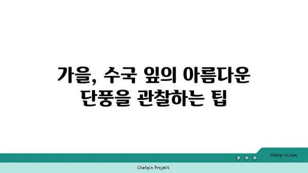 수국 잎의 가을 변신| 아름다운 색깔 변화 감상하기 | 가을, 단풍, 수국 잎, 컬러 변화, 관찰 팁