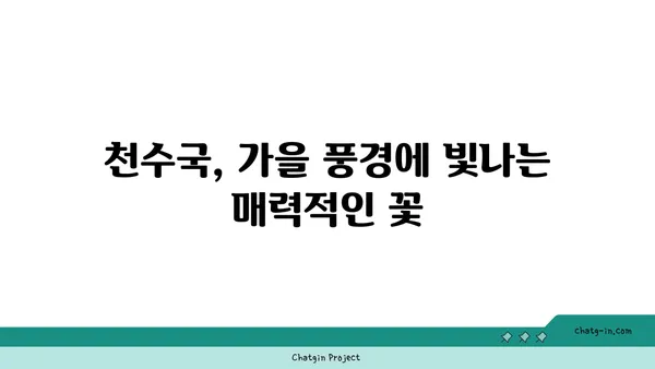 천수국 꽃말, 전설, 재배 방법까지! 아름다움 가득한 천수국 이야기 | 가을꽃, 국화과, 꽃말, 전설, 재배