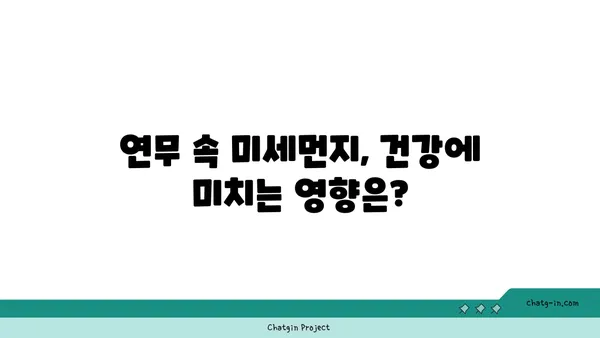 연무 발생 원인과 대처 방안| 안전하고 쾌적한 환경 만들기 | 미세먼지, 대기오염, 건강, 환경