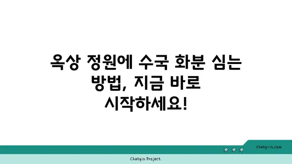 옥상 정원 가을 분위기 연출| 수국 화분 심기 완벽 가이드 | 옥상 정원, 가을, 수국, 화분, 심기, 가이드