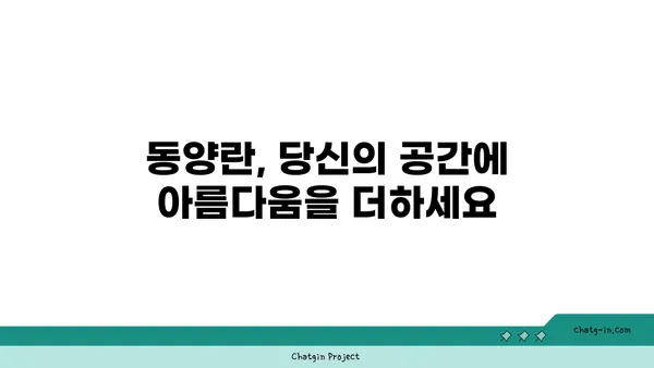 동양란의 매력에 빠지다| 종류별 특징과 관리법 완벽 가이드 | 동양란, 난초, 난 종류, 난 키우기, 난 관리