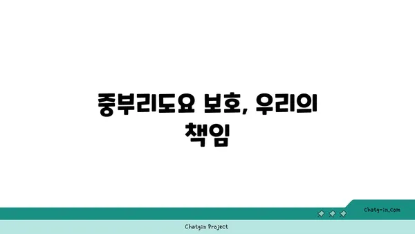 중부리도요| 분포, 생태, 보호 | 멸종위기종, 철새, 서식지, 한국