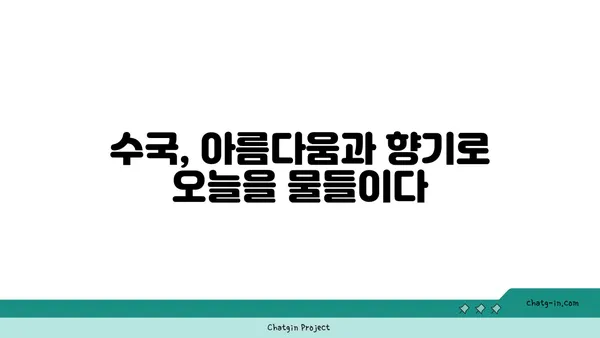 수국, 빅토리아 시대에서 현재까지| 아름다움과 역사의 향연 | 수국, 역사, 빅토리아 시대, 꽃, 원예, 식물