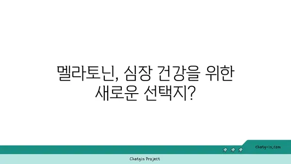 멜라토닌과 심장 건강| 심혈관계 질환 위험 감소 가능성 | 멜라토닌 효능, 심장 건강, 심혈관 질환, 건강 정보