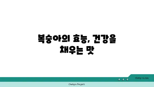 복숭아의 영양학적 힘| 비타민 C와 칼륨의 풍부한 공급원 | 건강, 과일, 영양, 효능, 칼로리