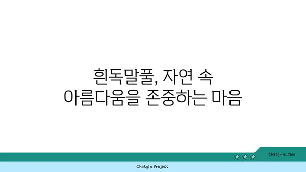 흰독말풀|  위험한 아름다움, 알아야 할 5가지 사실 | 독초, 식물, 주의사항, 안전