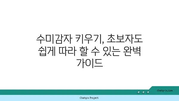 수미감자 집에서 키우기| 씨앗부터 수확까지 완벽 가이드 | 수미감자 재배, 베란다 텃밭, 텃밭 가꾸기