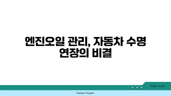 엔진오일 점검 고수 되는 7가지 꿀팁 | 엔진오일, 점검, 관리, 자동차