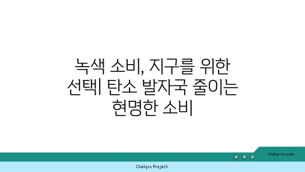 이산화탄소 배출 감축 | 지구 온난화의 위협을 막는 5가지 방법 | 기후변화, 탄소중립, 환경 보호