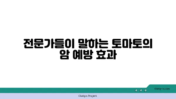 토마토의 놀라운 암 예방 효과| 연구 결과와 전문가 의견 | 토마토, 암 예방, 건강 식품, 항산화 효과