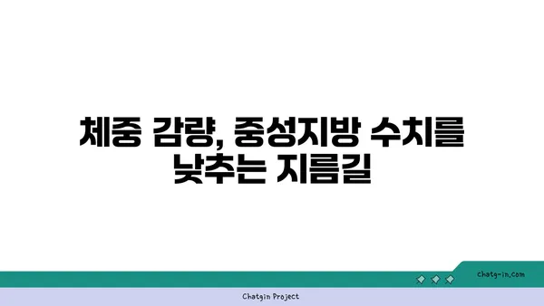 체중 감량이 중성지방 수준에 미치는 영향|  건강한 체중 관리의 중요성 | 중성지방, 건강, 체중 감량, 건강 관리