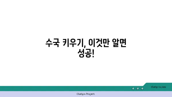 끊임없이 피는 수국, 비밀은 바로 이것! | 수국 키우기, 수국 관리, 수국 꽃피는 시기