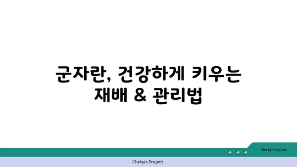 군자란 키우기 완벽 가이드| 꽃 피우는 비법부터 번식까지 | 군자란, 재배, 관리, 번식, 꽃