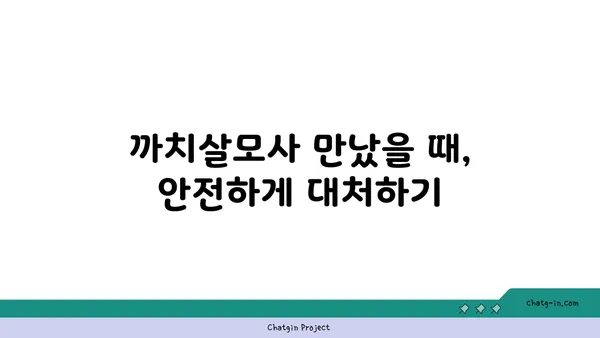 까치살모사, 알아야 할 모든 것 | 까치살모사 정보, 서식지, 특징, 구별법, 응급처치