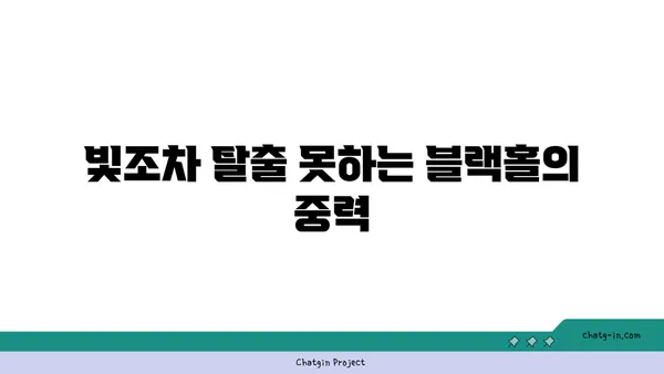 중력의 비밀| 우주를 지배하는 힘의 정체를 밝히다 | 물리학, 만유인력, 중력 가속도, 블랙홀