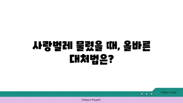 사랑벌레의 위험성, 알고 계신가요? | 사랑벌레, 해충, 건강, 예방, 주의