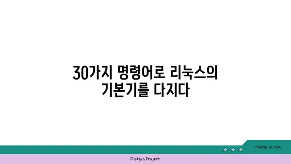 리눅스 초보자를 위한 명령어 30가지 | 리눅스 기초, 터미널, 명령어 활용, 리눅스 배우기