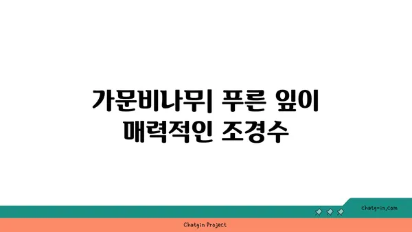 가문비나무| 특징, 종류, 그리고 심는 방법 | 조경, 묘목, 나무 심기