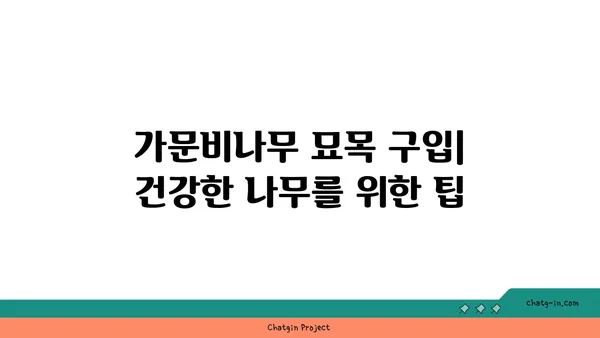 가문비나무| 특징, 종류, 그리고 심는 방법 | 조경, 묘목, 나무 심기