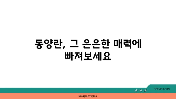 동양란의 매력에 빠지다| 종류별 특징과 관리법 완벽 가이드 | 동양란, 난초, 난 종류, 난 키우기, 난 관리