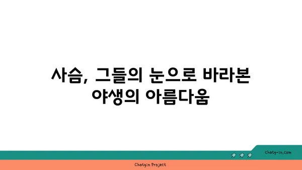 사슴의 비밀| 흥미로운 사슴 이야기와 놀라운 사실들 | 동물, 야생, 자연, 멸종 위기