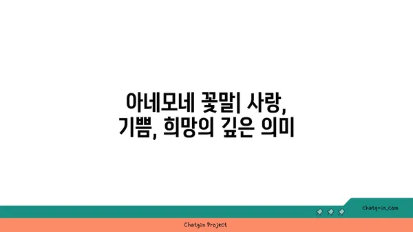 아네모네 꽃말과 전설| 사랑과 기쁨, 슬픔과 희망의 아름다운 상징 | 꽃말, 전설, 의미, 종류, 재배