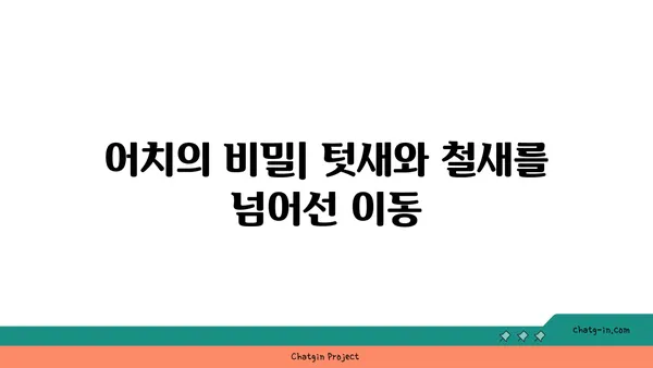 어치의 비밀| 텃새 vs. 철새, 어치는 어디에 살까요? | 어치, 텃새, 철새, 분포, 서식지, 생태