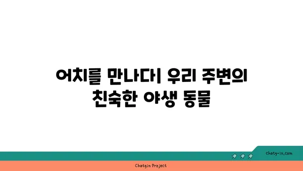 어치의 비밀| 텃새 vs. 철새, 어치는 어디에 살까요? | 어치, 텃새, 철새, 분포, 서식지, 생태