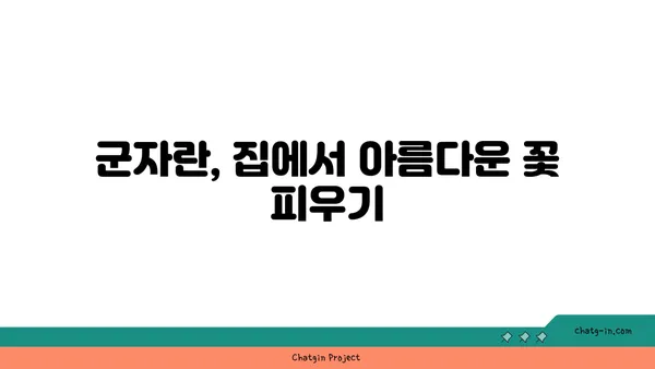 군자란 키우기 완벽 가이드| 꽃 피우는 비법부터 번식까지 | 군자란, 재배, 관리, 번식, 꽃