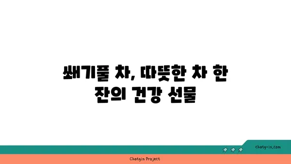 쐐기풀의 놀라운 효능과 활용법| 피부, 건강, 요리까지 | 쐐기풀 효능, 쐐기풀 활용법, 쐐기풀 차