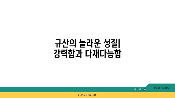 규산의 모든 것| 성질, 용도, 그리고 미래 | 규산, 실리콘, 화학, 산업, 기술