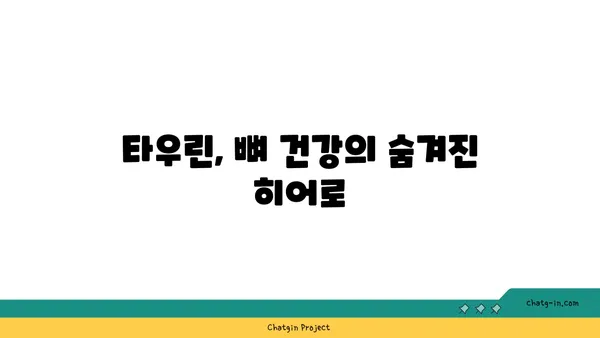 타우린의 힘| 골 건강을 위한 잠재적 이점 | 타우린, 골 건강, 영양, 건강 정보